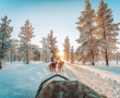 Laponie Finlandaise – Pays du père noël et des aurores boréales (GUIDE)