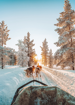 Que faire en Laponie ? Top 8 des activités incontournables en hiver
